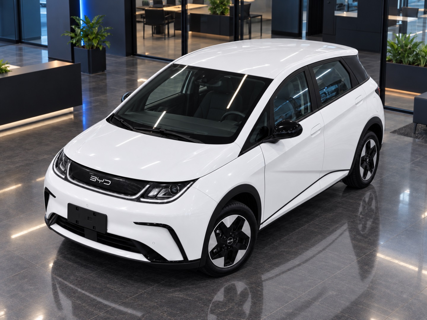 BYD DOLPHIN 44,9 KW ELÉTRICO GS - foto 18