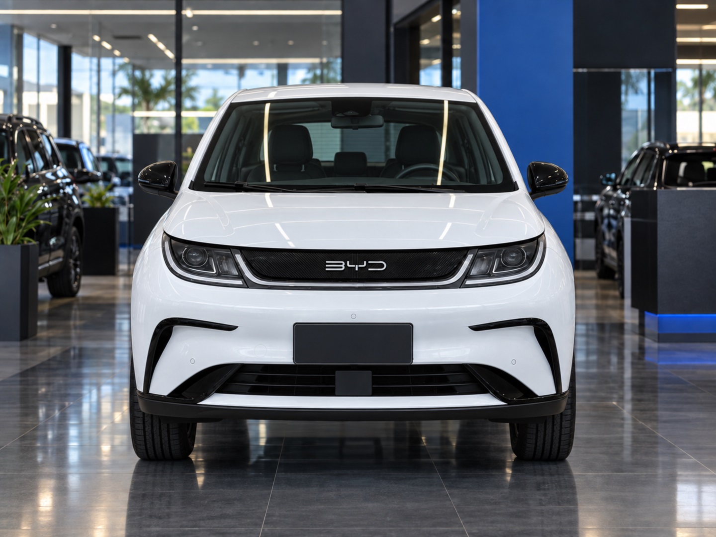 BYD DOLPHIN 44,9 KW ELÉTRICO GS - foto 19