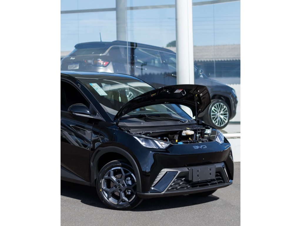 BYD DOLPHIN MINI 38 KW ELÉTRICO GS - foto 6