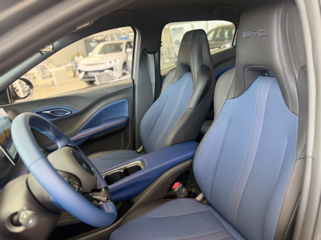 BYD DOLPHIN MINI 38 KW ELÉTRICO GS - foto 10