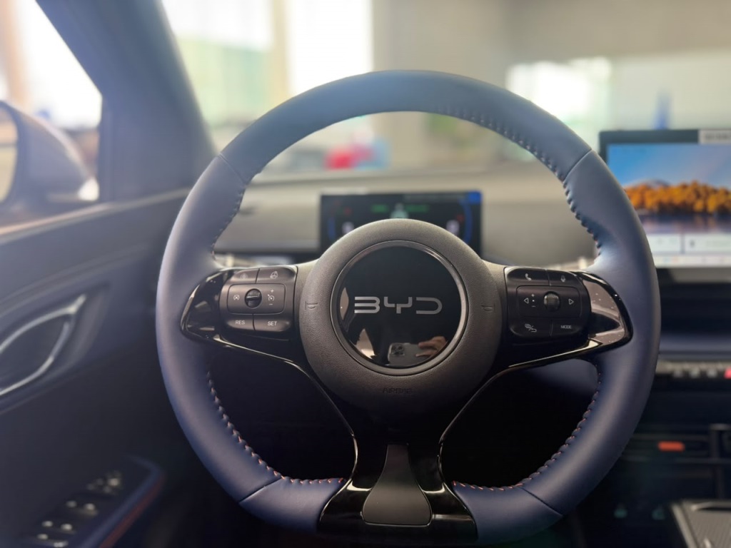 BYD DOLPHIN MINI 38 KW ELÉTRICO GS - foto 14